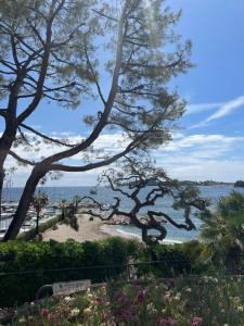 Appartements Les Constellations - Beaulieu-sur-Mer : photos des chambres