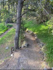Experiencia única, casa con costa de lago y deck