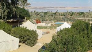 Tunis Tone Ecolodge & Campsite