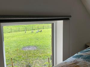 Appartements Gite du Paradis Normand : photos des chambres