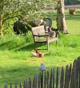 Bed and Breakfast Het Oude Bos