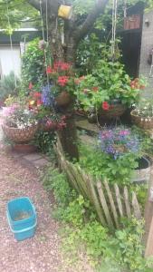 Bed and Breakfast Het Oude Bos