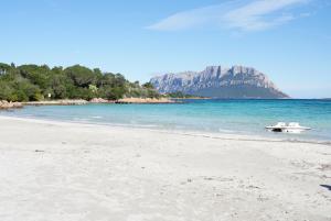 Ulivo al mare, Olbia, Murta Maria