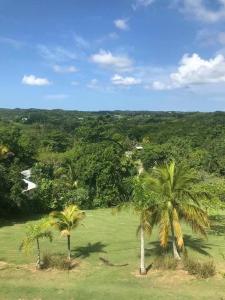 Escape to ParakeetHill B&B