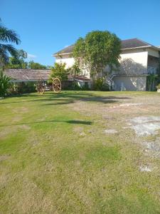 Escape to ParakeetHill B&B