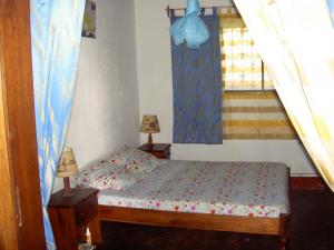 Bellevue sous les cocotiers