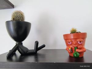 Hospedaje Refugio del Mar