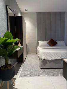 استديو مودرن بسرير ماستر a16