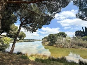 Ponant La Grande Motte Cosy Studio 4 pers Parking,Clim,piscine, Golf, Plage