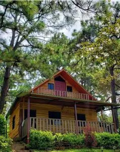 Cabaña Vista Pinares San Ignacio Chalatenango - Nueva Concepción