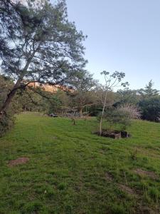 Cabaña Vista Pinares San Ignacio Chalatenango