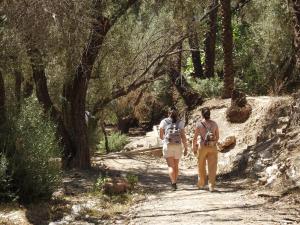 Surf and hike with Moroccan break