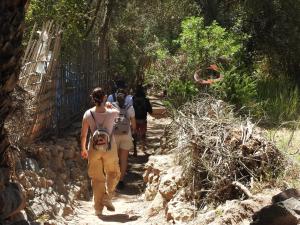 Surf and hike with Moroccan break