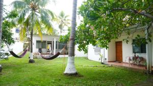 Surf Spot - Buenas Olas a 5 minutos