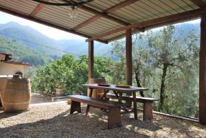 Il Frantoio, Loft rurale, con bbq e giardino in Pontifogno