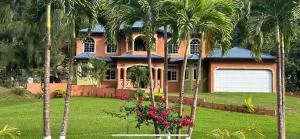 Paradise Palms Estate - Newmarket