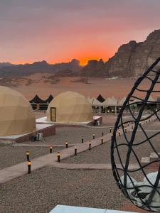 Desert Oasis Lodge in Wadi Rum