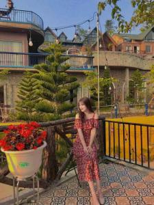 Mimosa nhà thông 2 view săn mây