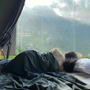 Mimosa nhà thông 2 view săn mây