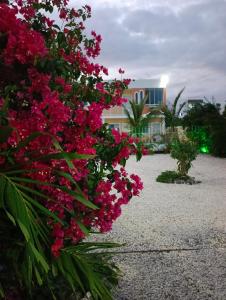 AVE FENIX Apartments