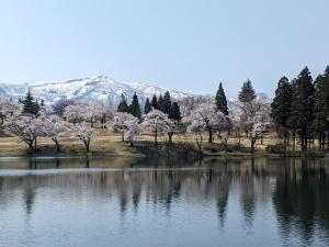 Phoenix Suites Myoko #101