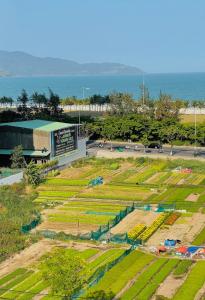 Ami Foreign Center Da Nang 6 - Gorgeous View, Cozy, 3 Views, Quiet,Airy, Near Sea, Amenities