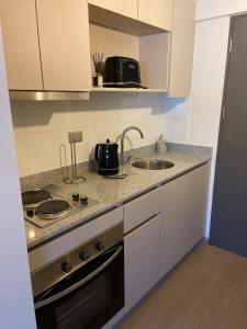 Hermoso Departamento 3 Estudio en Concepción