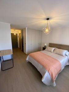 Hermoso Departamento 3 Estudio en Concepción