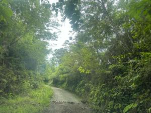 Zona de Camping con casa de campo