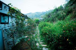 Sapphire Hill Resort