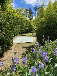 Maisons de vacances Gite de la Croisette Sud Ardeche piscine : photos des chambres