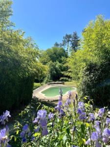 Maisons de vacances Gite de la Croisette Sud Ardeche piscine : photos des chambres