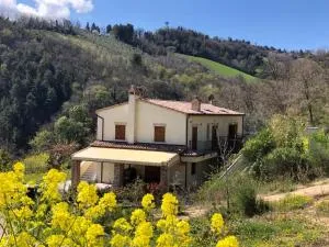 Ca`Rosei  - Montegaudio