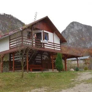 Pensiunea La Florut - Vidolm