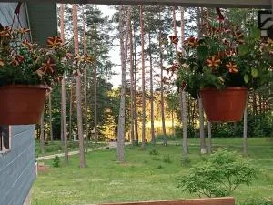 Dreamcatcher - Straupe