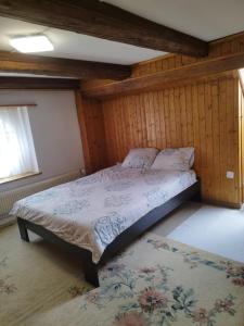 Furnished apartment in Zizers