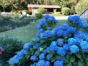 Haus Waldblick - Grainet