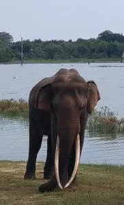 superson 90b - 恩比利皮蒂耶