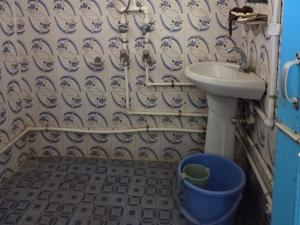 The White Star By StayApart