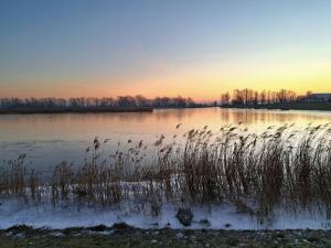 AquaHome - NP de Biesbosch - Bijzonder overnachten op een houseboat!
