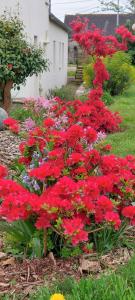 Maisons de vacances Demeure de Kerevel : Maison 4 Chambres