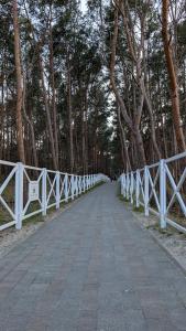 Apartamenty Morze Wygody