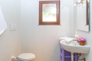 Vecchio Marino H4 img17