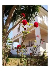 Villa panoramica con Piscina - Bolognetta