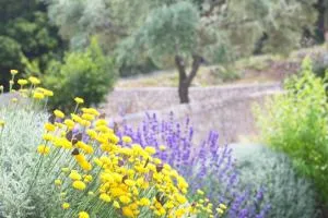 Asplathia Villas Lefkada - Spanokhórion