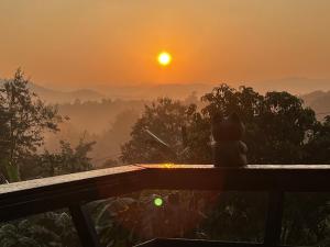 Tiny House on the Hill Farmstay