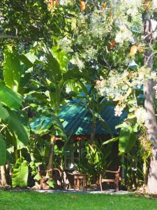 Tiny House on the Hill Farmstay