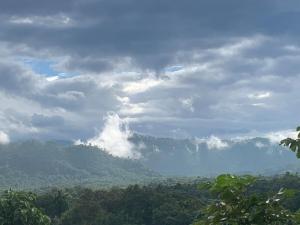 Tiny House on the Hill Farmstay
