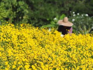 Tiny House on the Hill Farmstay