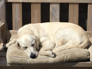 Cosy Seaside Cottage Baltimore